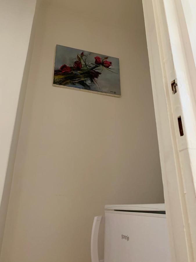 Cozy Apartment in the City Centre Next to Dóm Square Szeged Exterior foto